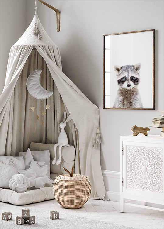 Baby Racoon Plakat