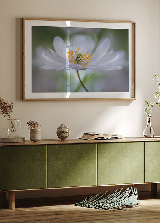 Nemorosa Nirvana Plakat