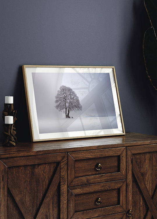 Winter light Plakat
