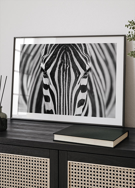 Zepra Plakat