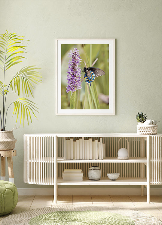 Butterfly on Lavender Bloom Plakat