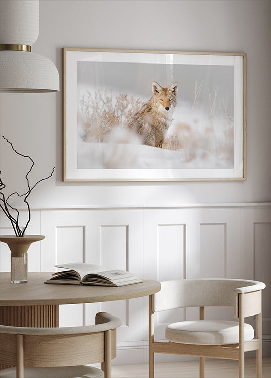 Coyote sitting on the snow Plakat