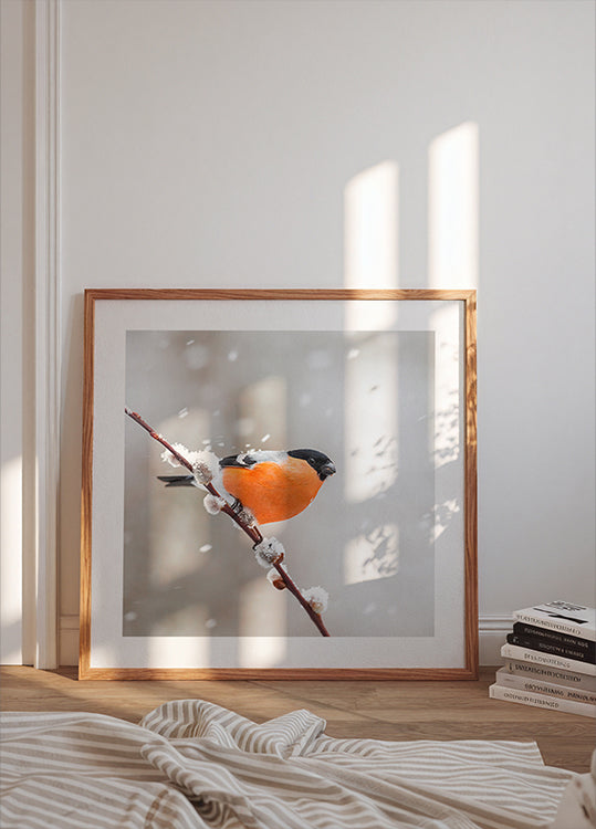 Bullfinch in a snowstorm. Plakat