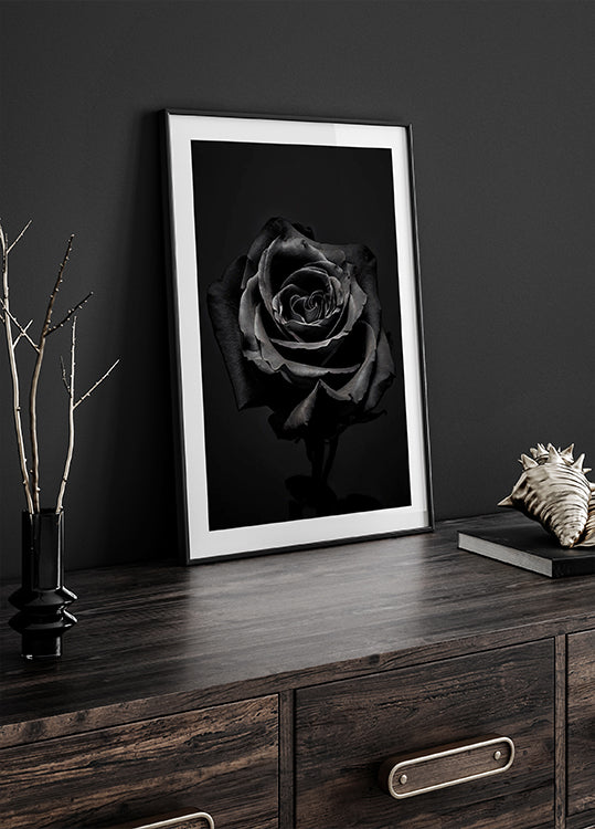 Black Rose Plakat