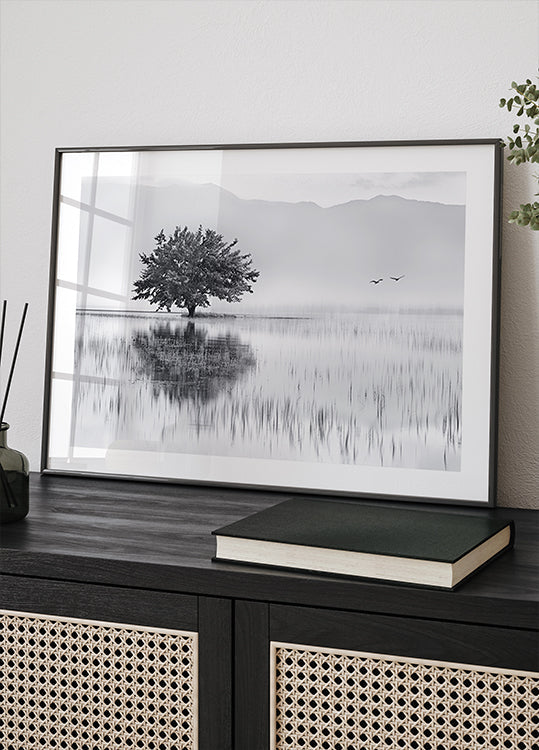 Spring Mirror Plakat