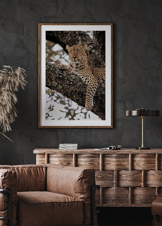 Majestic Leopard on a Tree Branch Plakat
