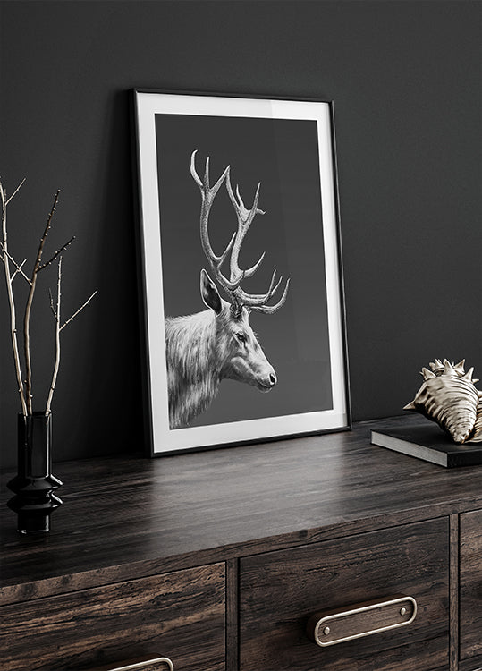 Reindeer Plakat