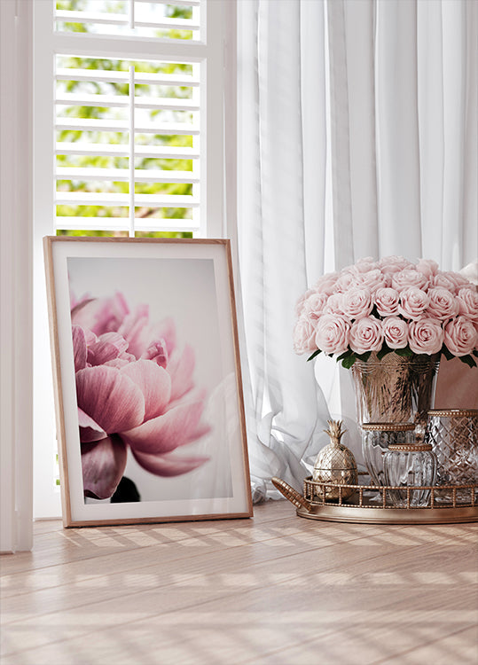 Peony 1 Plakat