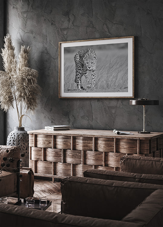 Focused predator Plakat