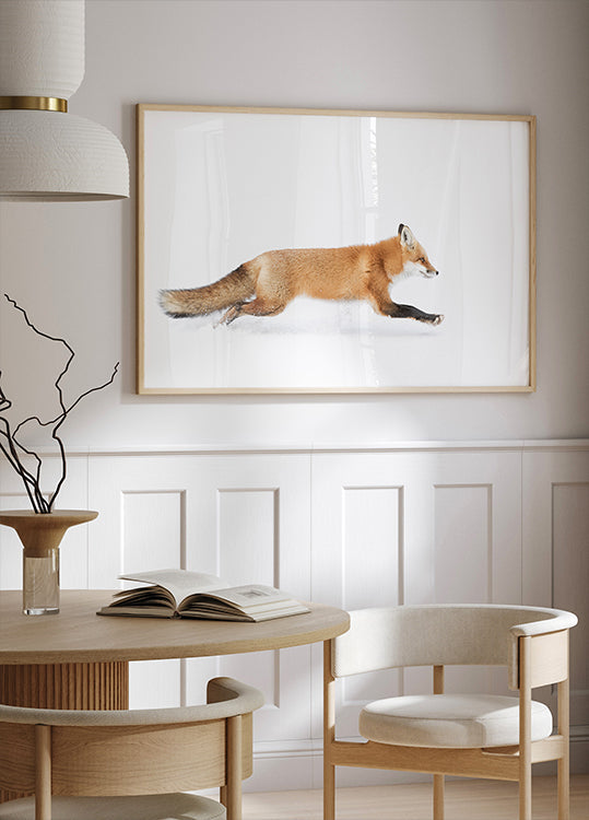 Red Fox on the run - Algonquin Park Plakat