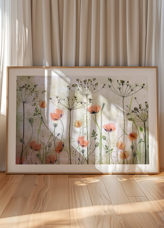 Poppy Meadow