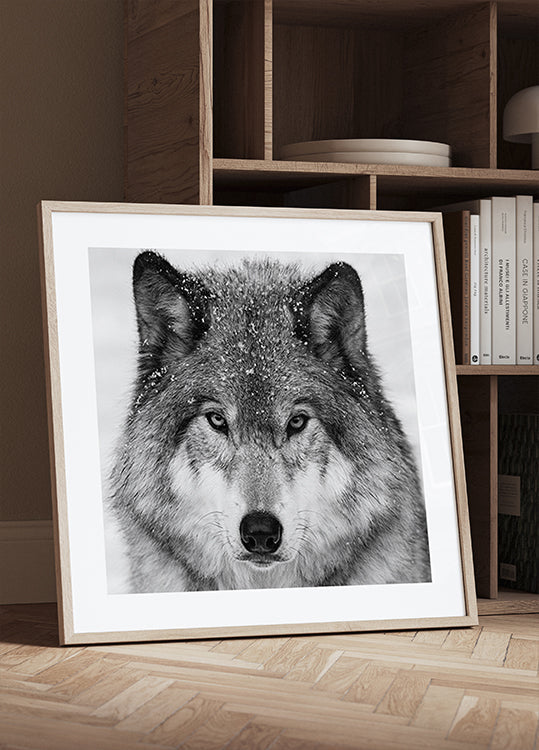 Wolf Portrait Plakat
