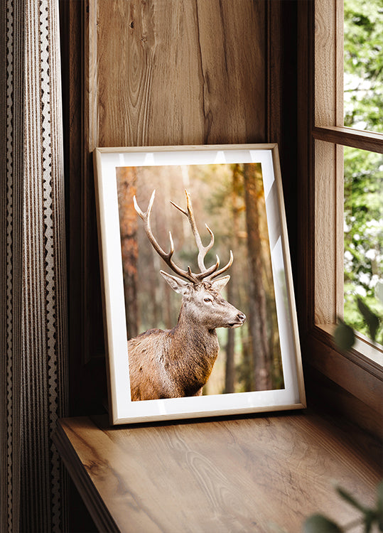 Majestic Red Deer Stag Plakat
