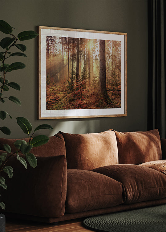 Mysterious Light of the Autumn Forest Plakat