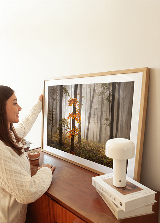 In November Light Plakat