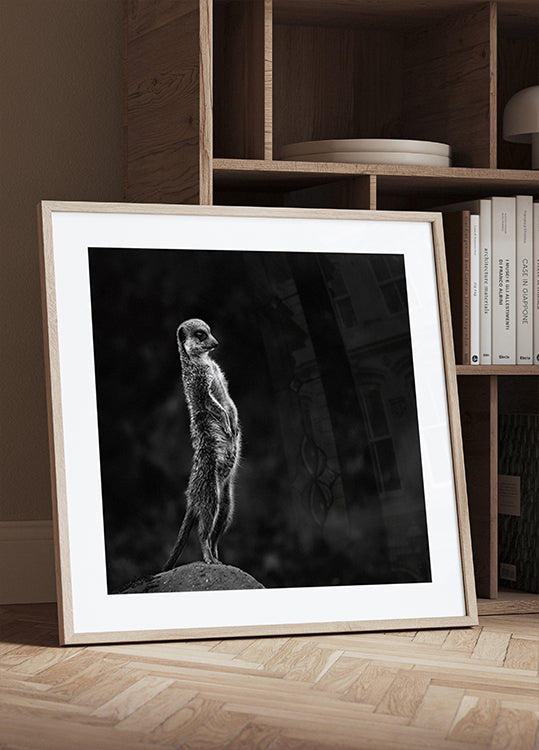 The meerkat Plakat