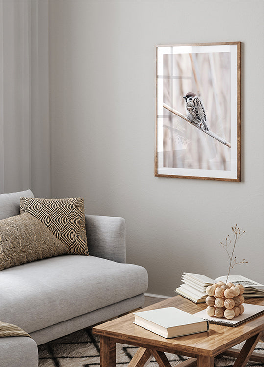 Tree Sparrow on Branch Plakat