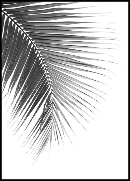 Elegant Palm Leaf Plakat