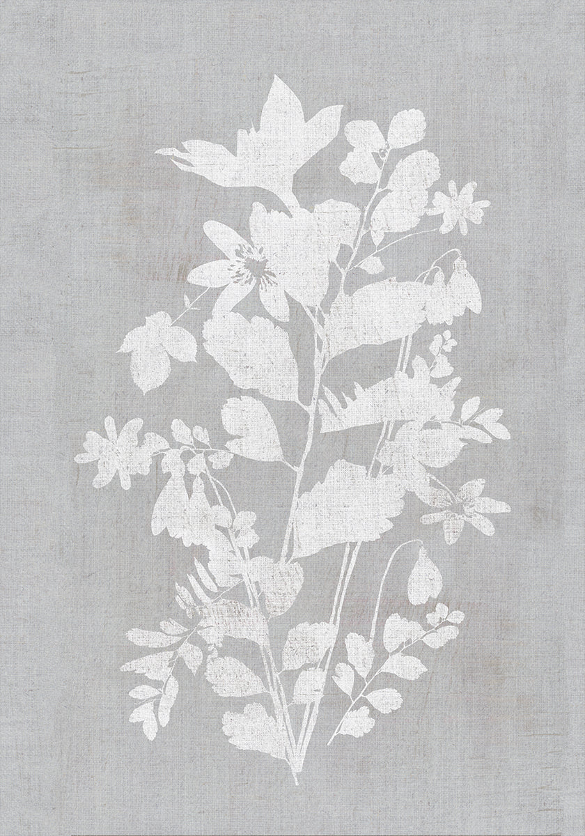 Botanical Illustration 2 Plakat