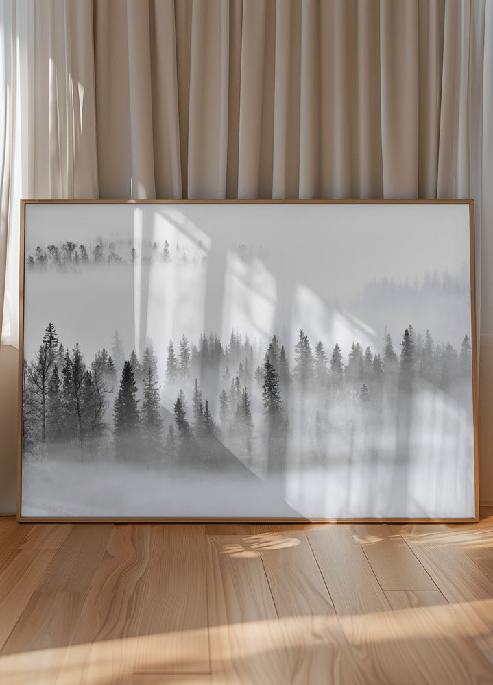 Foggy Forest Plakat