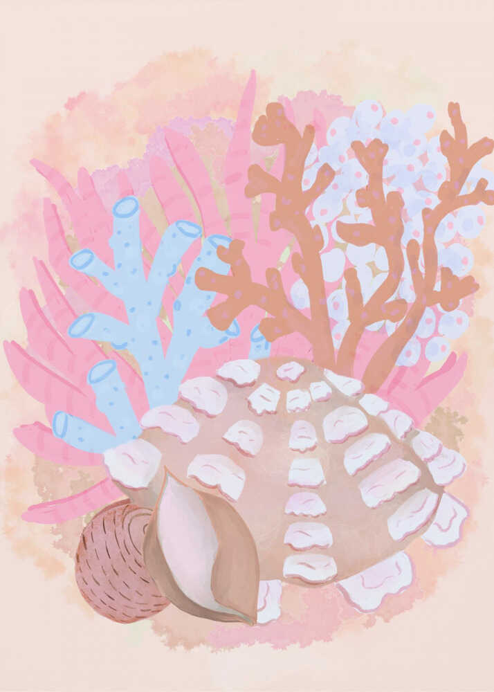 Pink Seashells Plakat