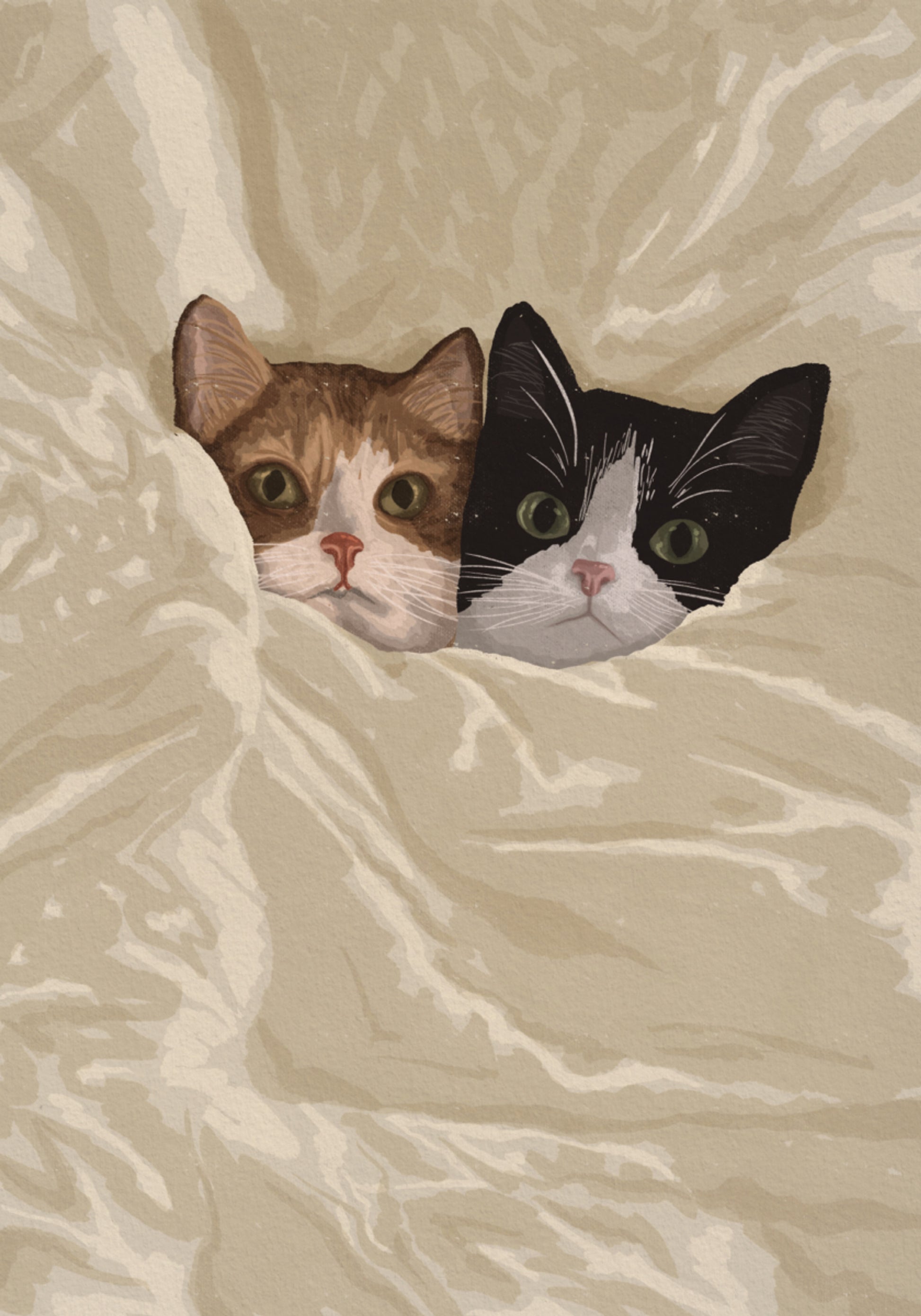 Cozy Cats Peeking Out