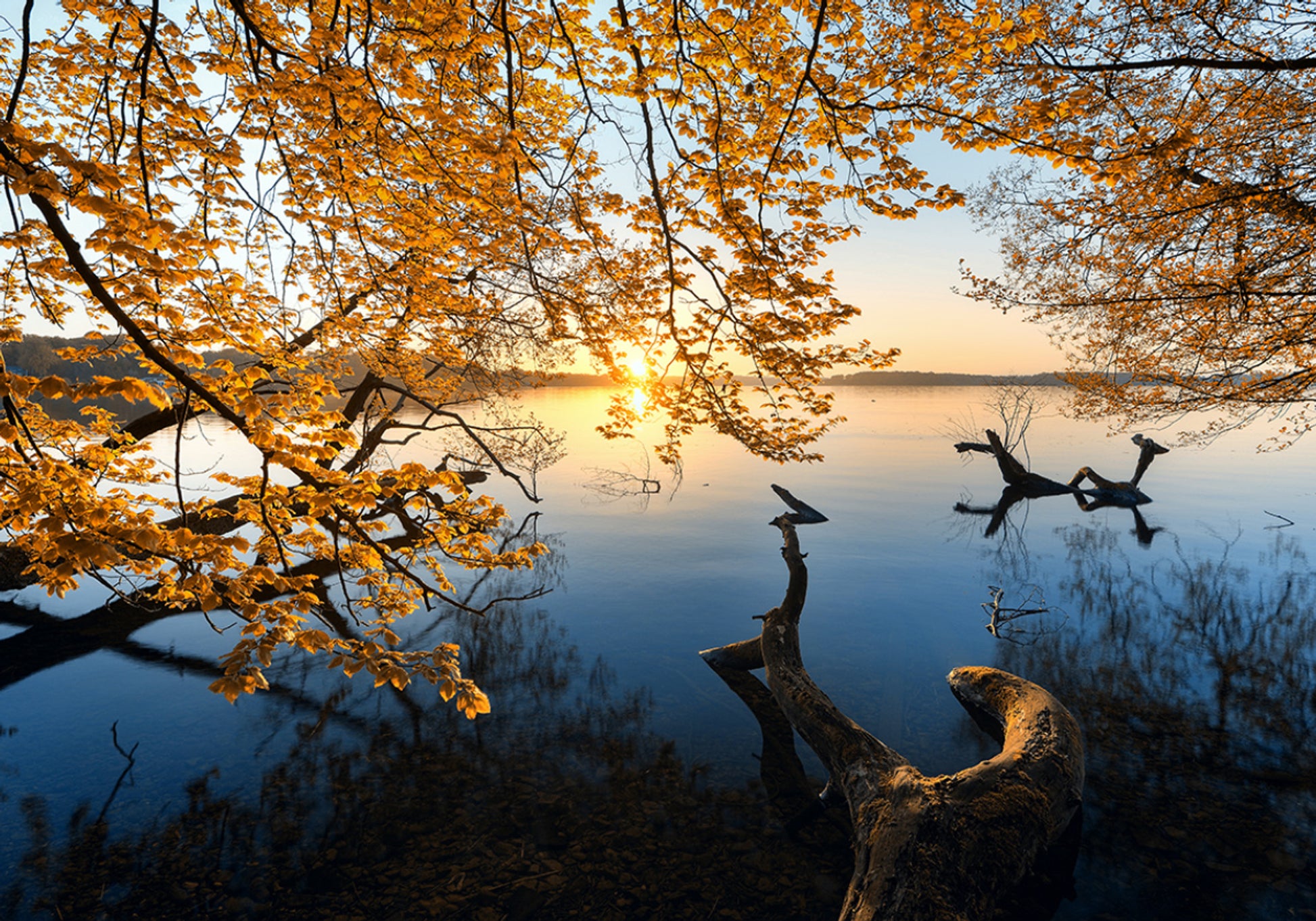 Golden Autumn Lake Sunrise