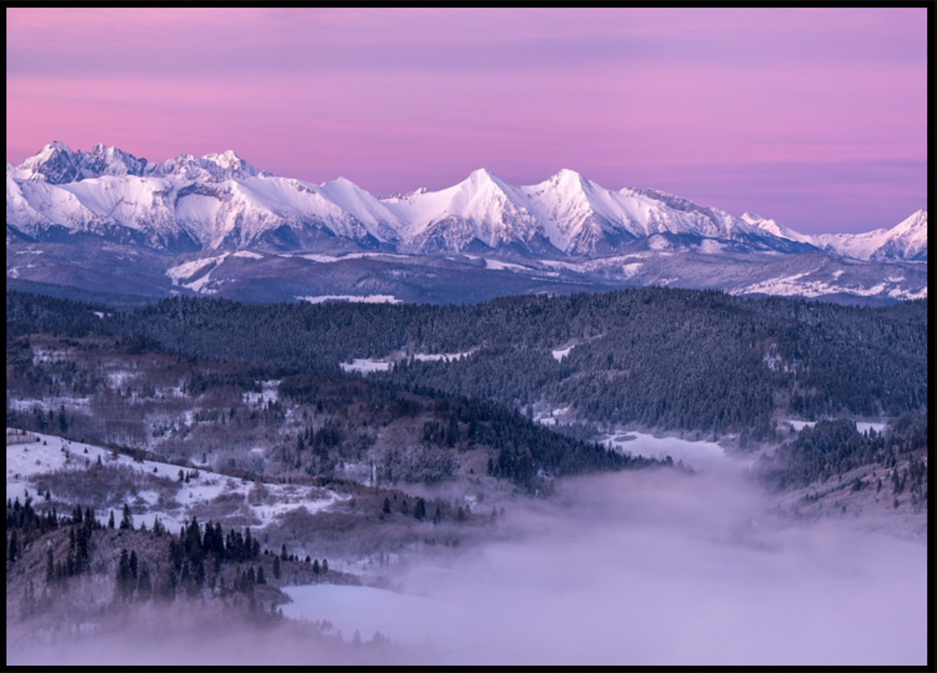 Purple Mountain Dawn