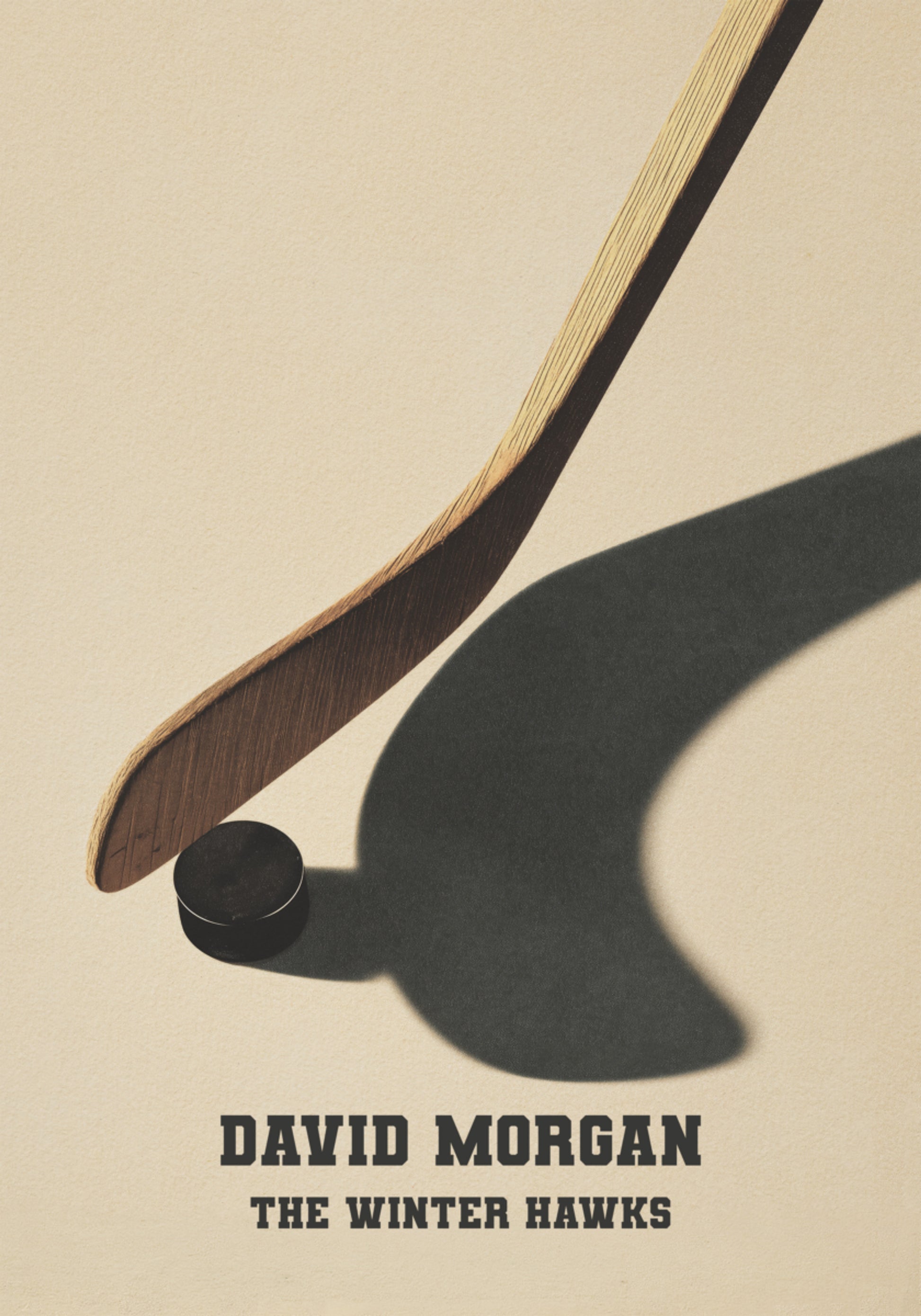 Hockey Stick and Puck Shadow Poster