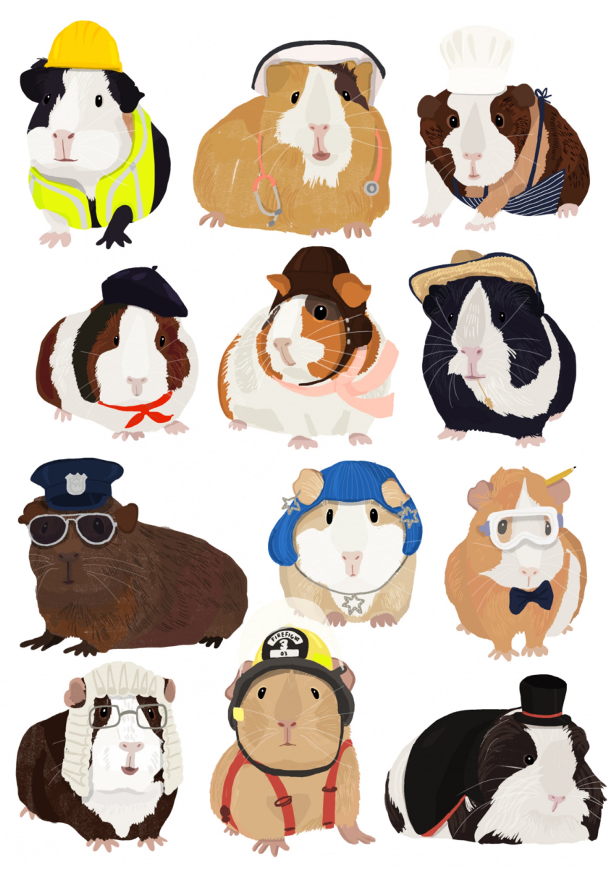 Cute Guinea Pig Careers