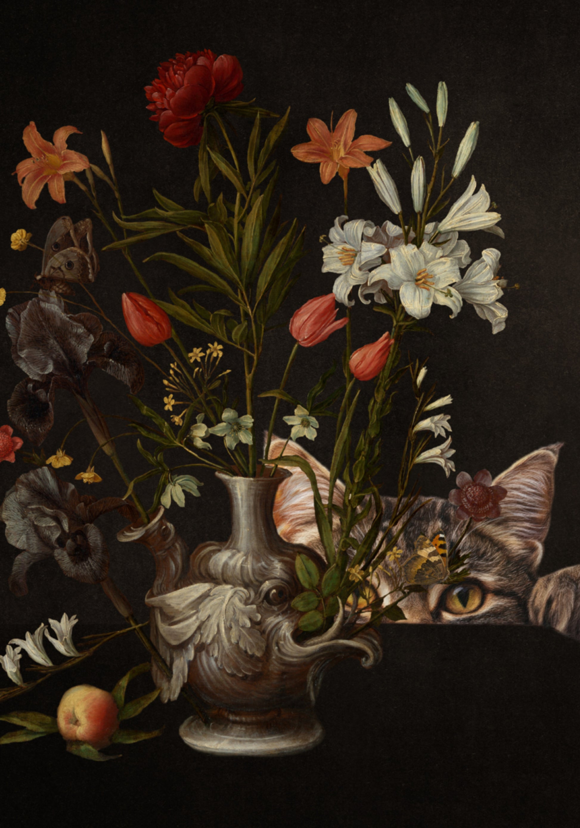 Curious Cat Flowers