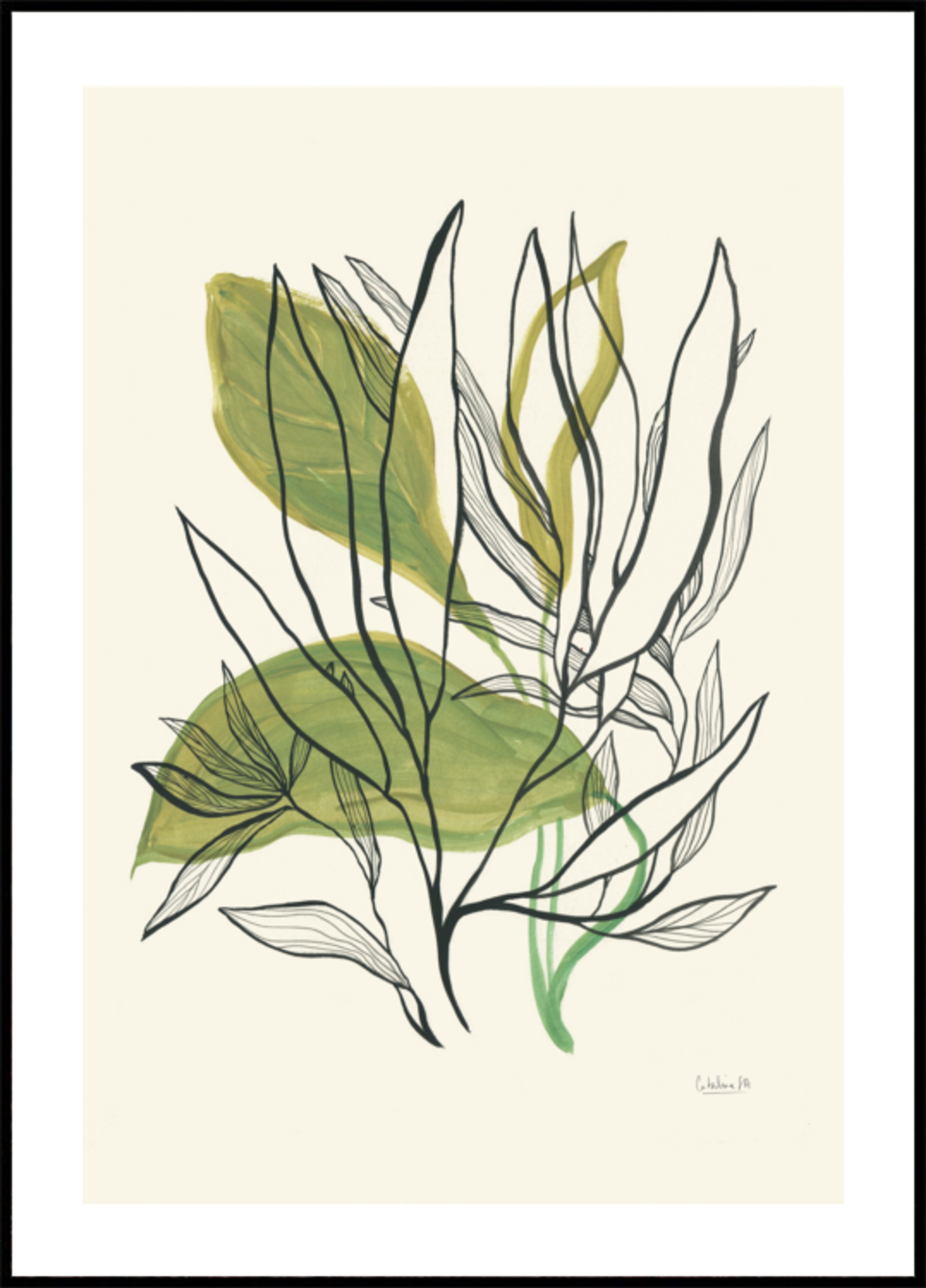 Modern Botanical Leaves