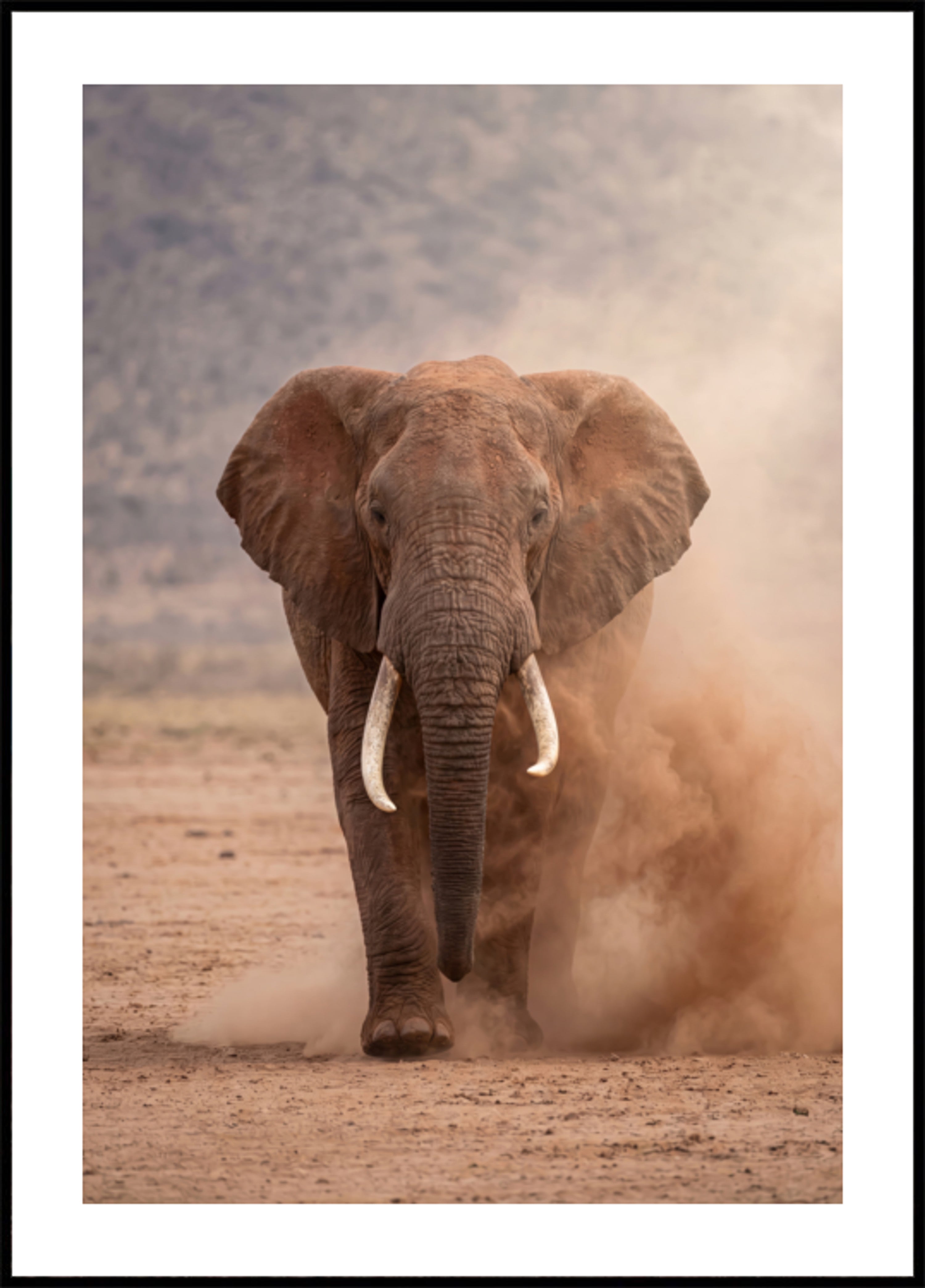 Powerful Dusty Elephant