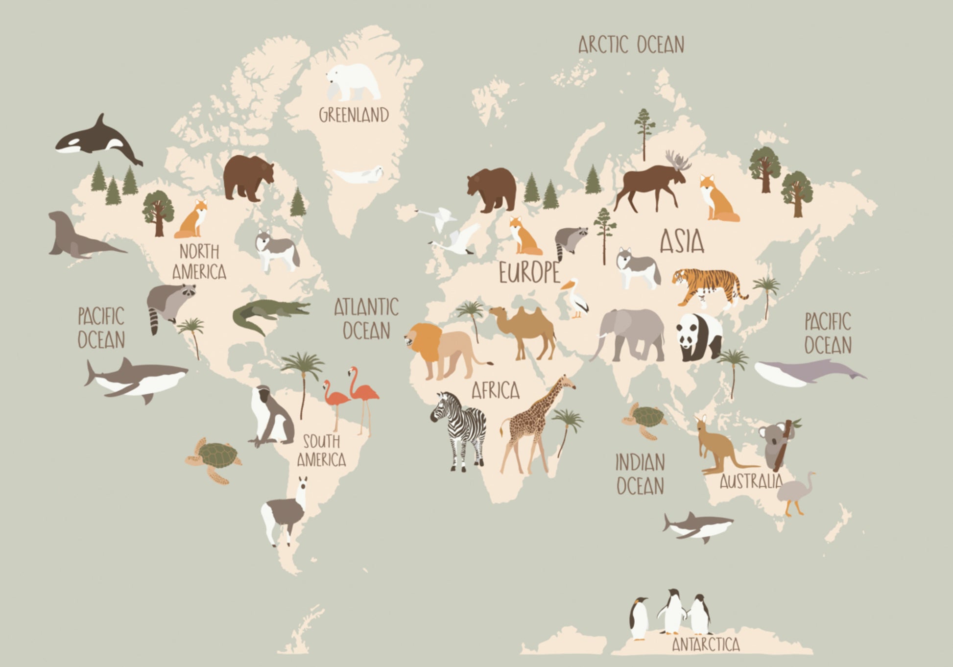 Wildlife World Map