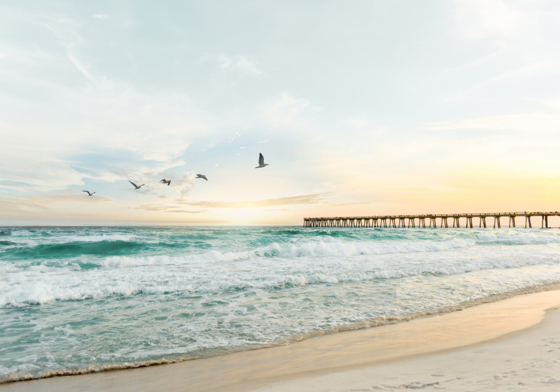 Birds At Pier