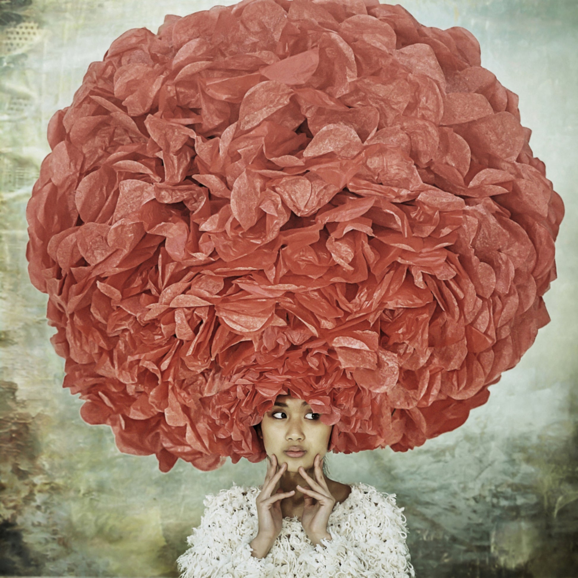 Crimson Petal Dream