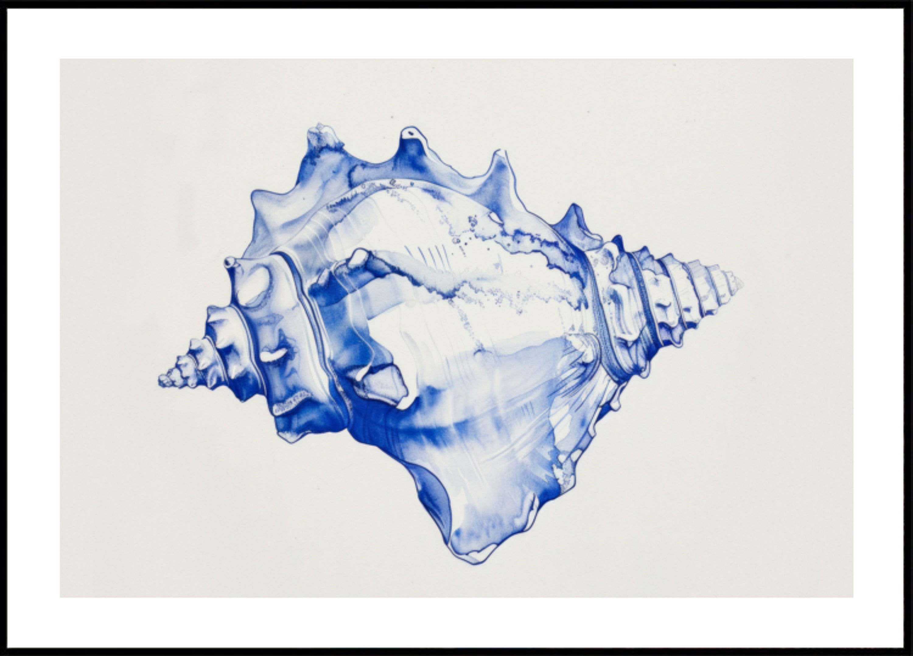Blue Conch Harmony